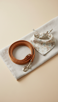 Caramel Nylon Leash and Collar Set