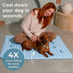 Pet Cooling Mat – Instant Relief from Summer Heat for Dogs & Cats