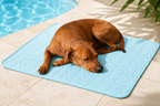 Pet Cooling Mat – Instant Relief from Summer Heat for Dogs & Cats